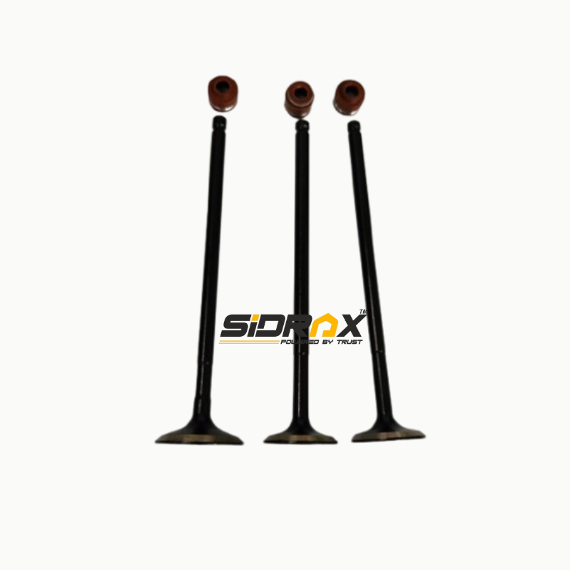 Engine Valve Set for TVS Victor New Model | Ntorq BS6 | 3 Valves with seal