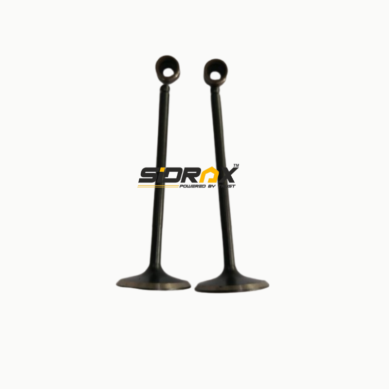 Engine Valve Set for Yamaha Ray BS6 | 2 Valves with seal